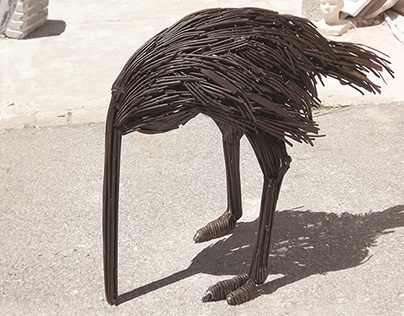 Ptica Noj / Bird Ostrich