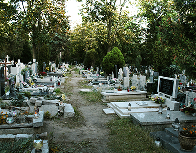 Photo - Cemetery of Saint Wawrzyniec in Wroclaw
