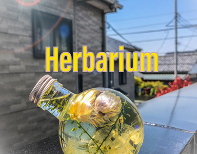 herbarium