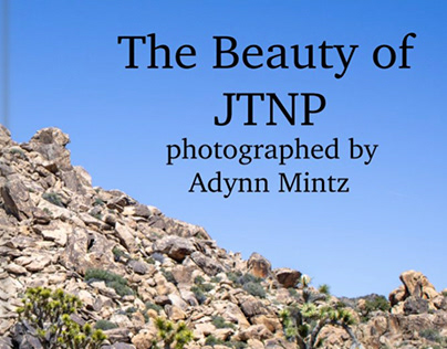 Blurb PhotoBook Link. The Beauty of JTNP.