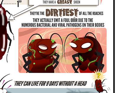 Ant and Cockroach Infographics