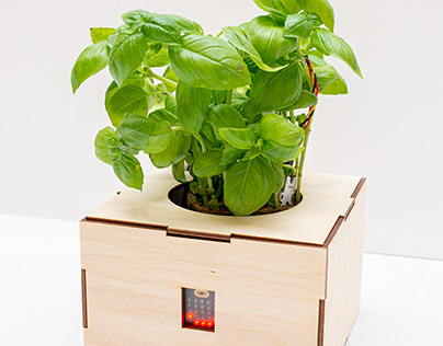 MicroBit: Automatic Plant Watering System