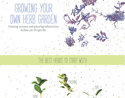 Growing Your Own Herb Garden