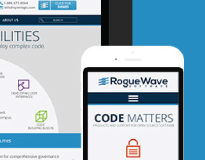 Rogue Wave Software