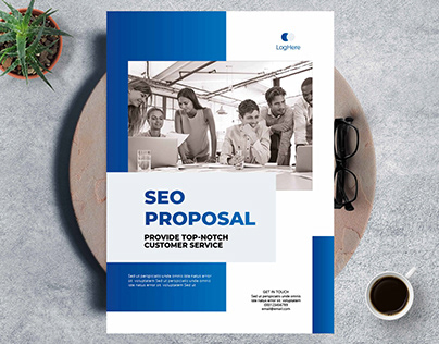Professional Seo Proposal