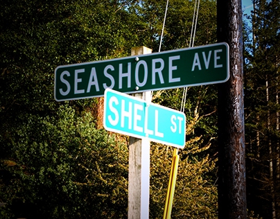 Seashore Avenue
