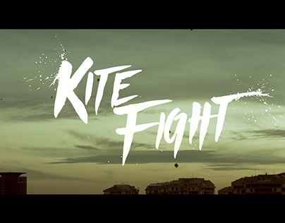Kite Fight