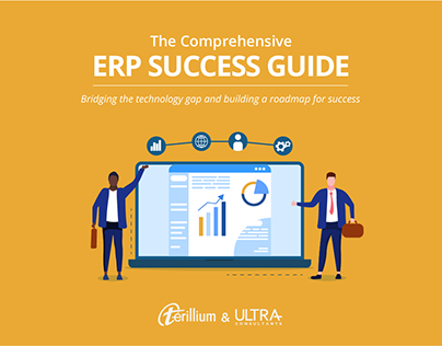 Ebook: ERP Success Guide (compilation)