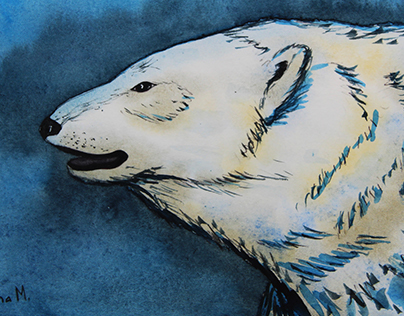 Белый медведь / Polar Bear / Ayı