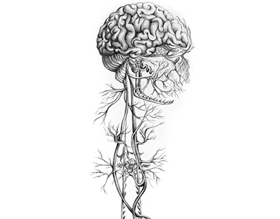 Botanical Nerves Illustration