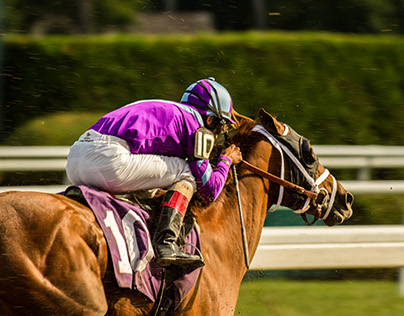 Saratoga Horse Racing 