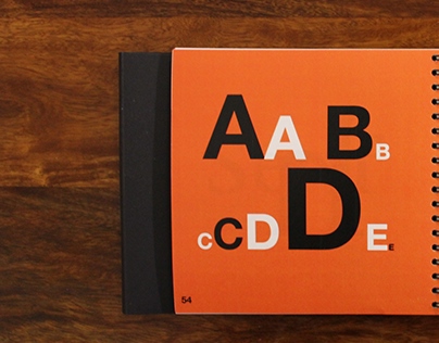 24 Typographic terms book