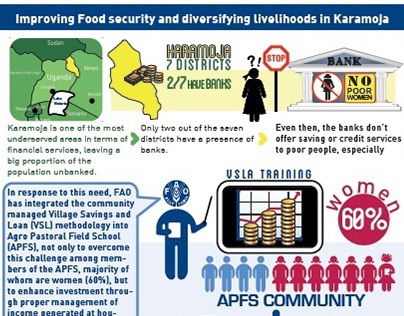 Women's Empowerment in Karamoja Project_ Infographics