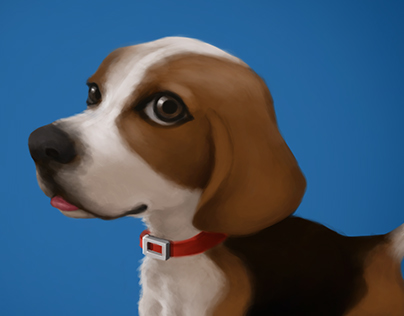 Poops the Beagle