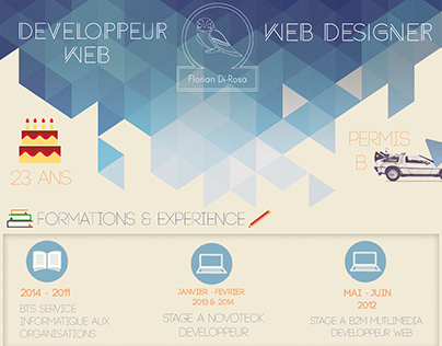 CV Développeur web/Web designer