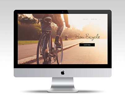 Roni Bicycle Website