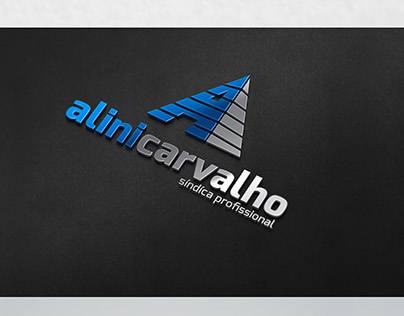 Alini Carvalho - Síndica Profissional