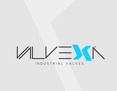 Valvexa Company Profile + Website + Logo + etc...