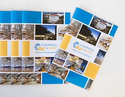 Cammisa + Wipf Promotional Brochure