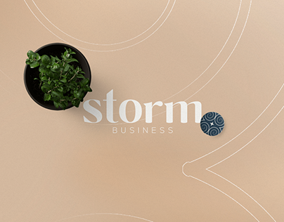 Brand | Storm Business Impulsionadora