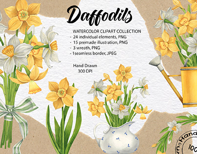 Watercolor daffodils hand drawn collection.
