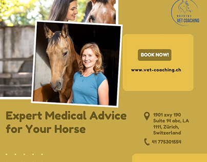 Kompetente medizinische Beratung für Ihr Pferd