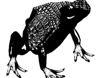 Bestiary: Chicken Legged Frog | 2014