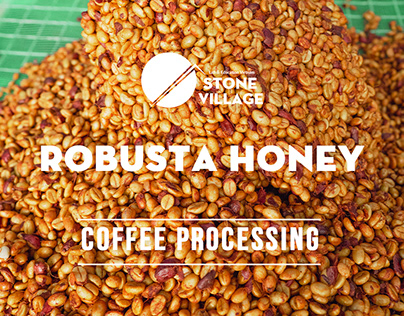 Honey Coffee Processing Fine Robusta