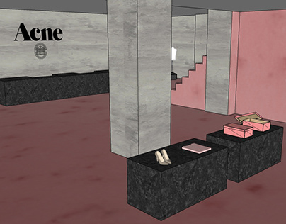 Acne Studios - Designing the Fashion Store Environment