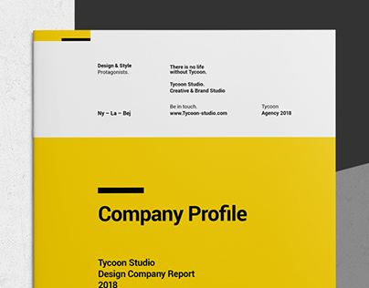 Annual Report and Company Profile - Tycoon Series