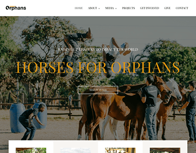 Horses For Orphans