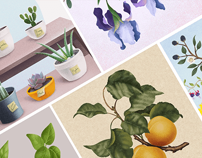 A selection of botanical illustrations