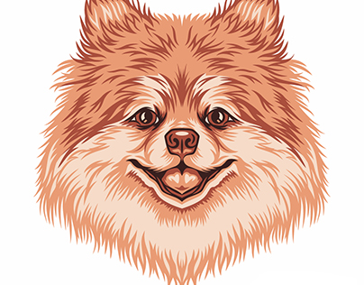 Pomeranian Illustration for GoldenDoodleGoods™