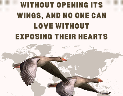 No bird can fly without opening its wings