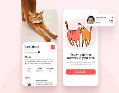 Petsy- platform for pet lovers