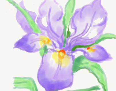 Liz's first iris in Adobe sketch