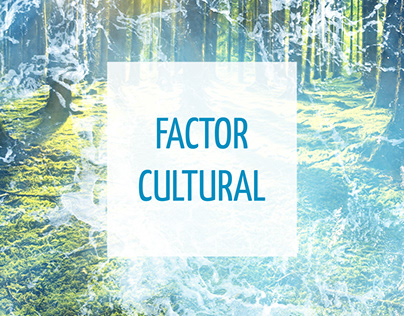 Factor Cultural