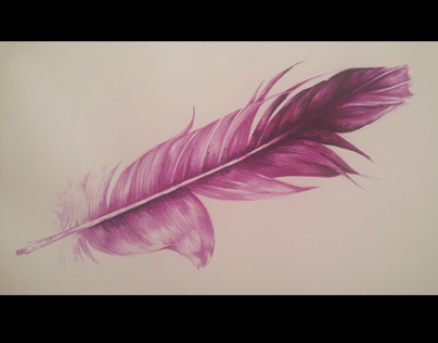 Feather Drawings