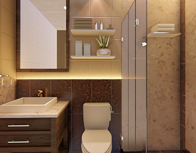 Luxury Toilets interior design