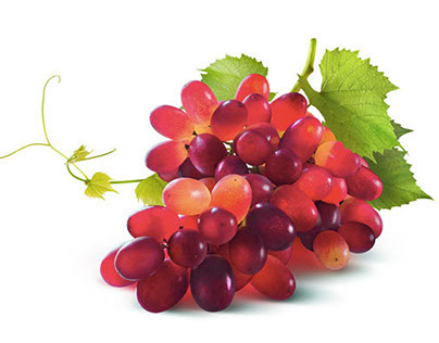 Colorful Grapes: Stock Photography