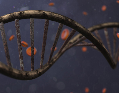 DNA VIDEOHIVE PROJECT
