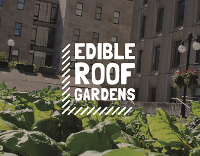 Edible Roof Gardens