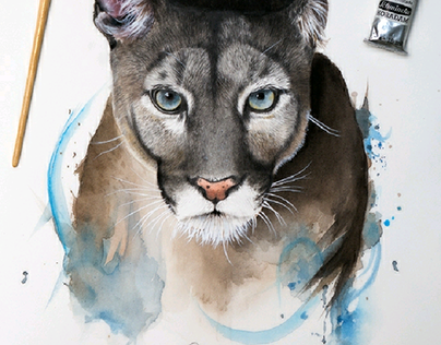 Puma - Watercolour