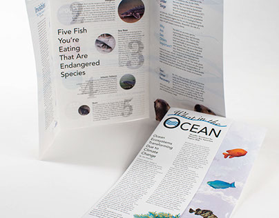 Newsletter for Monterey Bay Aquarium