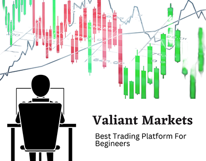 Best Trading Platform For Beginners | Valiant Markets