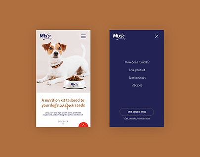 Mixie / Branding & Landing Page