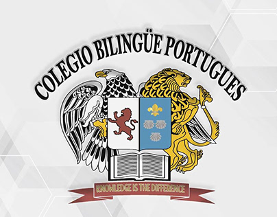 COLEGIO BLINGUE