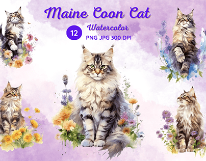 Watercolor of Maine Coon Cat