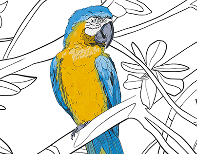 Hand drawn Ara parrots pattern