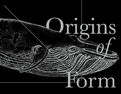 形式的起源 | Origins of Form 书籍装帧 COVER DESIGN